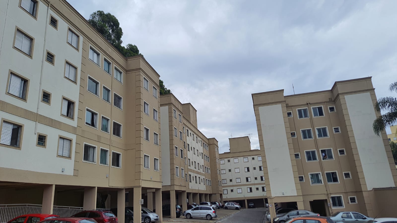 Apartamento de 2 quartos Para comprar/alugar em Vila Sônia - AP76098 - Foto 3