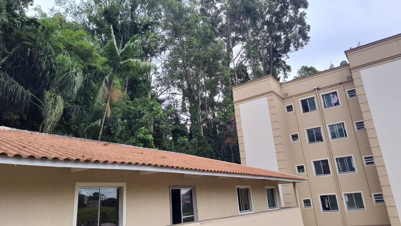 Apartamento de 2 quartos Para comprar/alugar em Vila Sônia - AP76098 - Foto 5