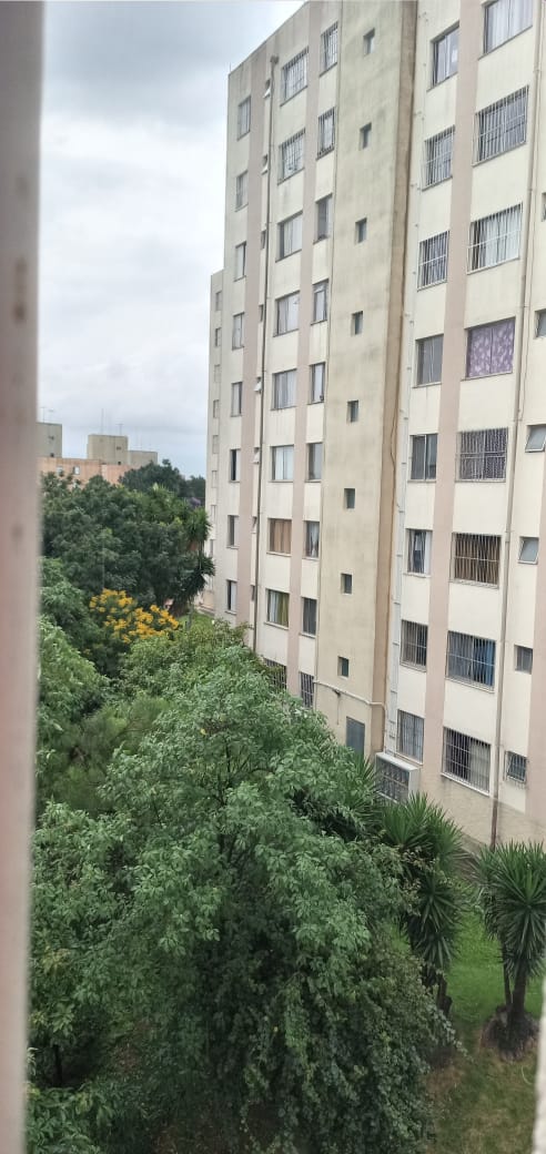 Apartamento de 3 quartos Para comprar em Jardim Paris  - AP76147 - Foto 4