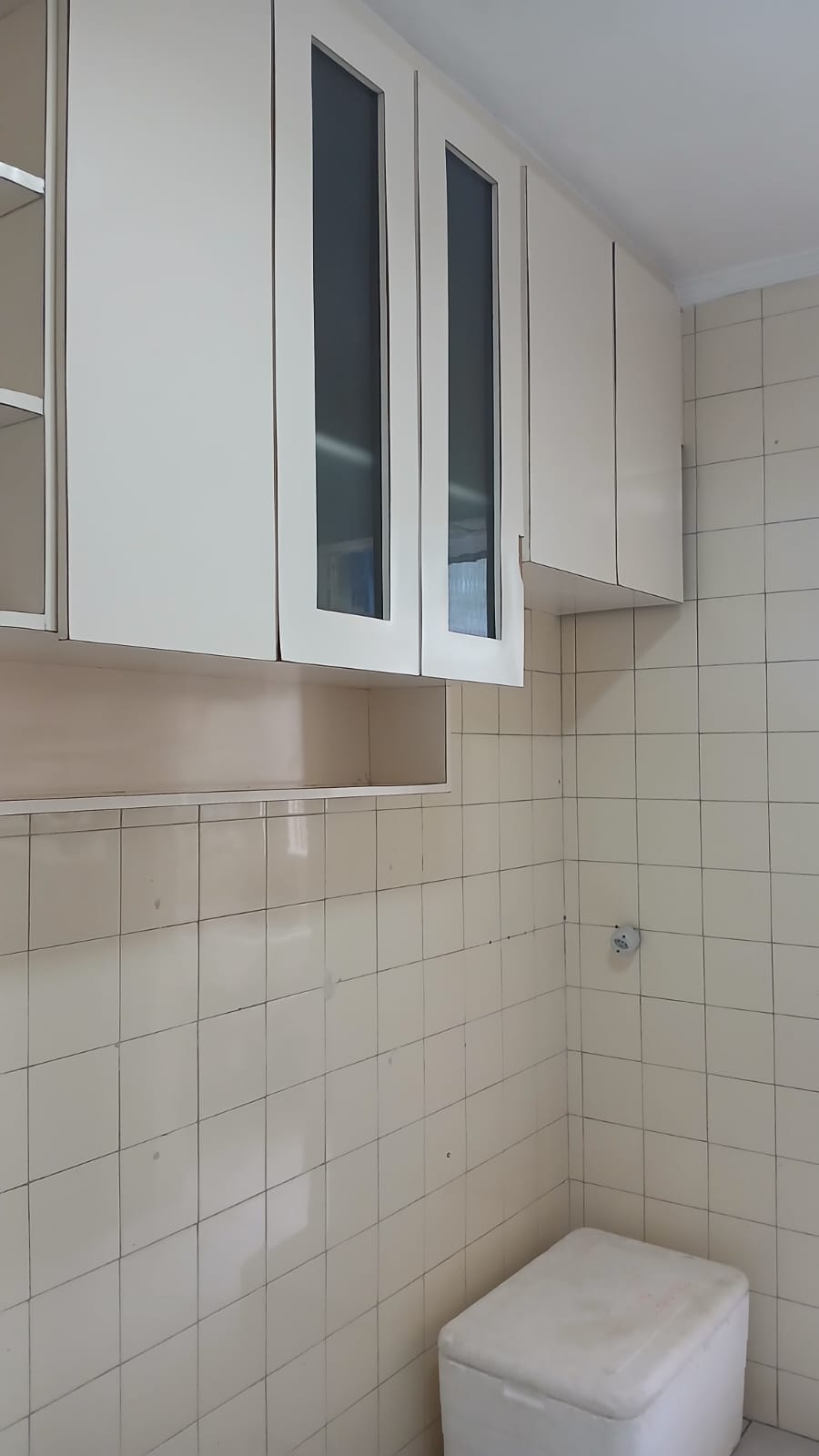 Apartamento de 3 quartos Para comprar em Jardim Santa Efigênia - AP0248 - Foto 7